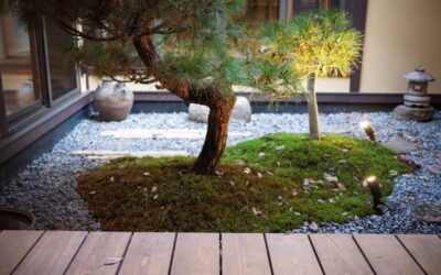 “Machiya Living: Embrace the Elegance and Serenity of Kyoto’s Traditional Homes”