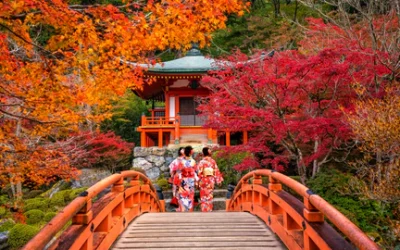 Top 5 Autumn Foliage Spots in Kyoto: A Must-See Guide for the Season 🍁