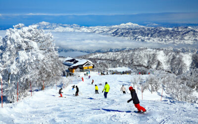 Protected: Your Gateway to Nagano: Explore Shiki Real Estate’s Newest Office